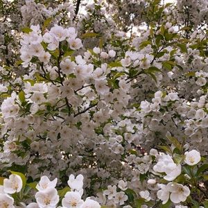 Meet your Posher, Claire